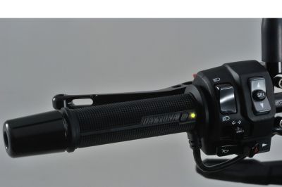 Heated grips DAYTONA built-in switch
